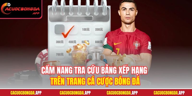 Cẩm nang tra cứu bảng xếp hạng trên trang cá cược bóng đá