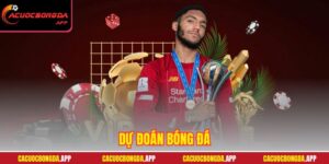 Dự đoán bóng đá