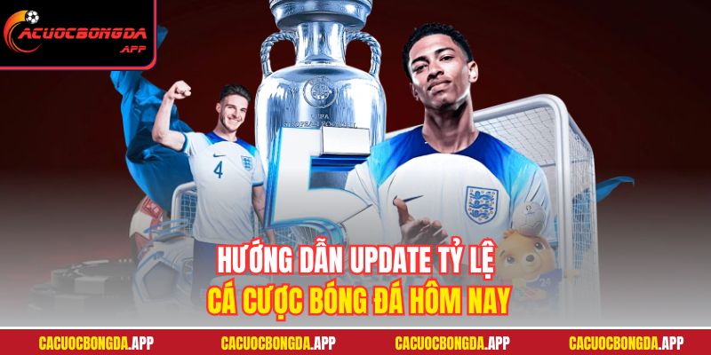 Hướng dẫn update tỷ lệ cá cược bóng đá hôm nay