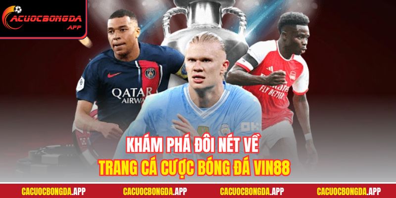 Khám phá đôi nét về trang cá cược bóng đá VIN88