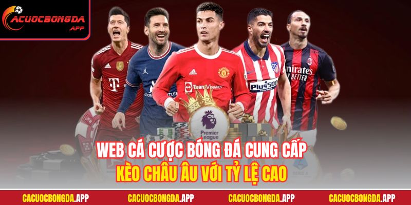 Web cá cược bóng đá cung cấp kèo châu Âu với tỷ lệ cao